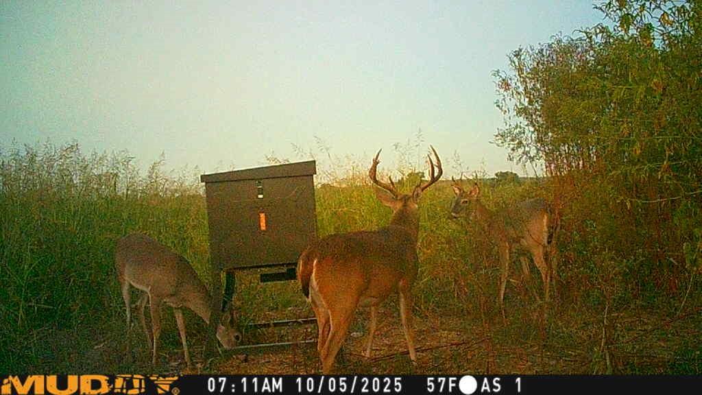 ABST A0473 LOPEZ, P BLOCK PARCEL 10 - Land