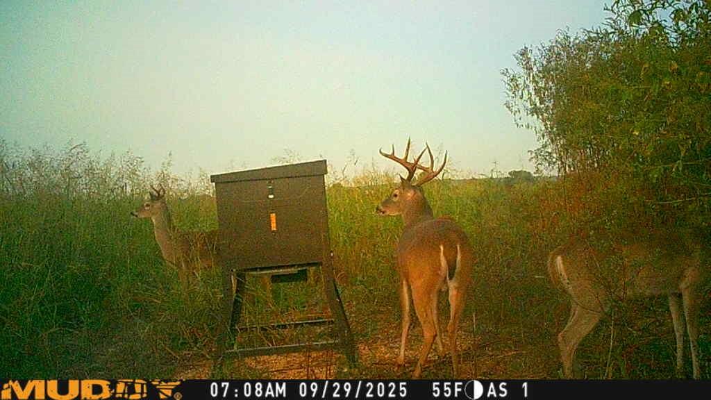 ABST A0473 LOPEZ, P BLOCK PARCEL 10 - Land