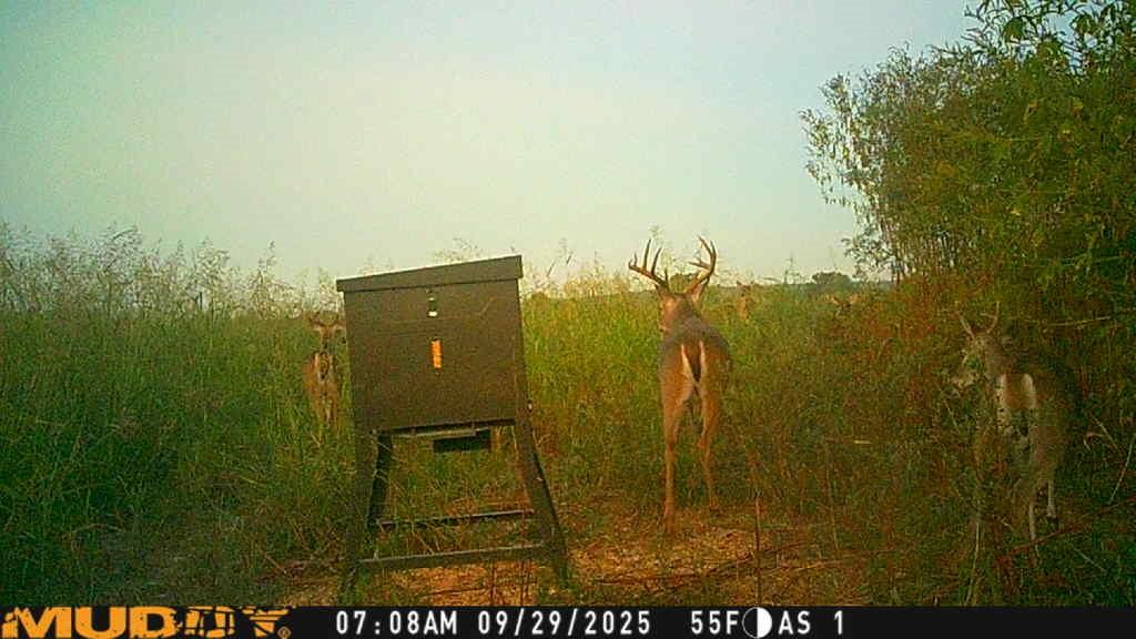 ABST A0473 LOPEZ, P BLOCK PARCEL 10 - Land