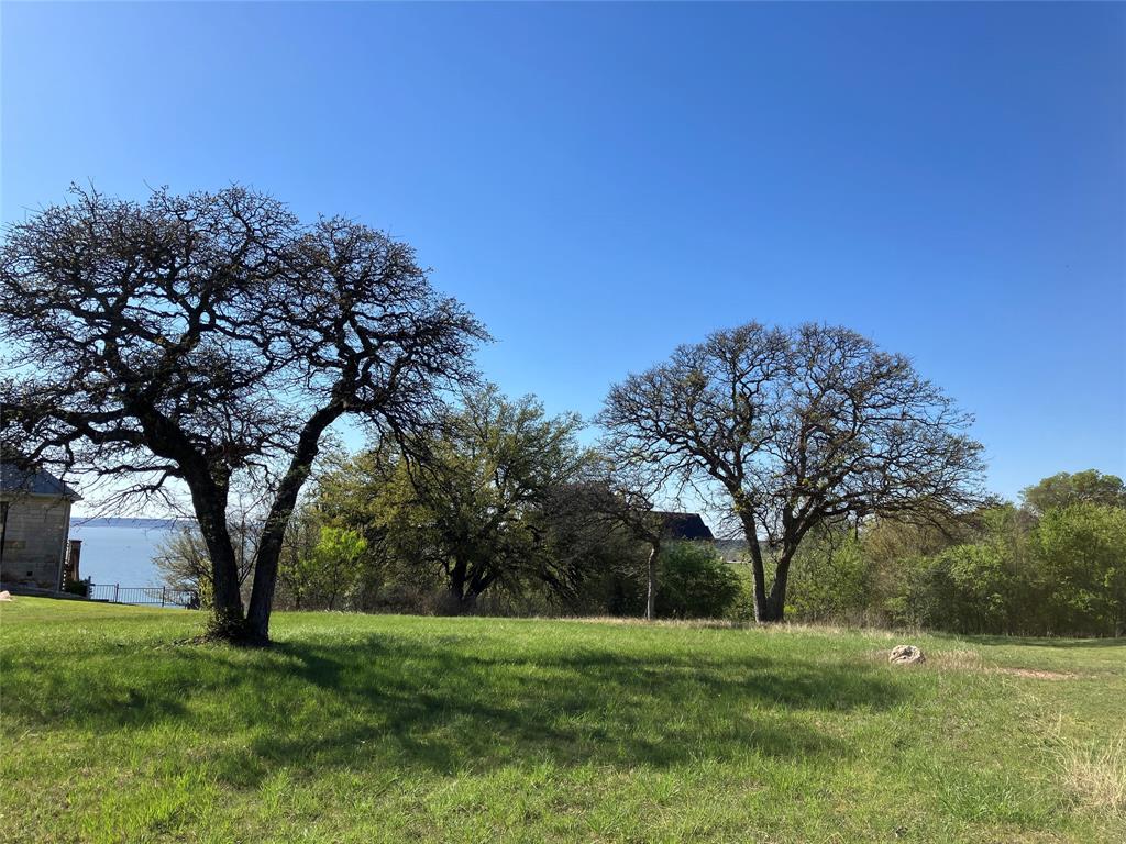 White Bluff #1 - Land