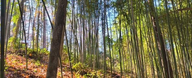 Sandy Acres - Residential