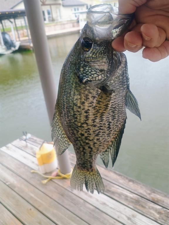 The Shores - Residential