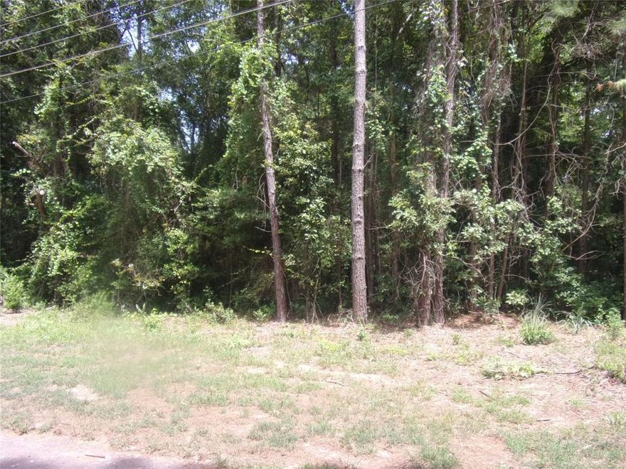 Heavily treed .21 acre lot (65x150) located in the gated community of Callender Lake.  This lot would be a great place to build your lake getaway or full time residence.  Located just 5 streets from the water gives you easy access to the boat ramp, fishing pier, lake swim area, children's park, and great fishing and boating.  Water and electric are located at the street and ready for you to install for your home.   A septic is required for your home as well.  This community consists of site built homes.  The minimum build must be 960 sq. feet or larger.  Mobile homes are not allowed in this community.  RV's can be used two weeks a month but can not be lived in full time.  This community is on the beautiful 365 acre spring fed Callender Lake.  It is known for great fishing (bass, catfish, crappy, and others) for your fishing enjoyment.   Come see this great lot with a great price today and start living the LAKE LIFE!!!