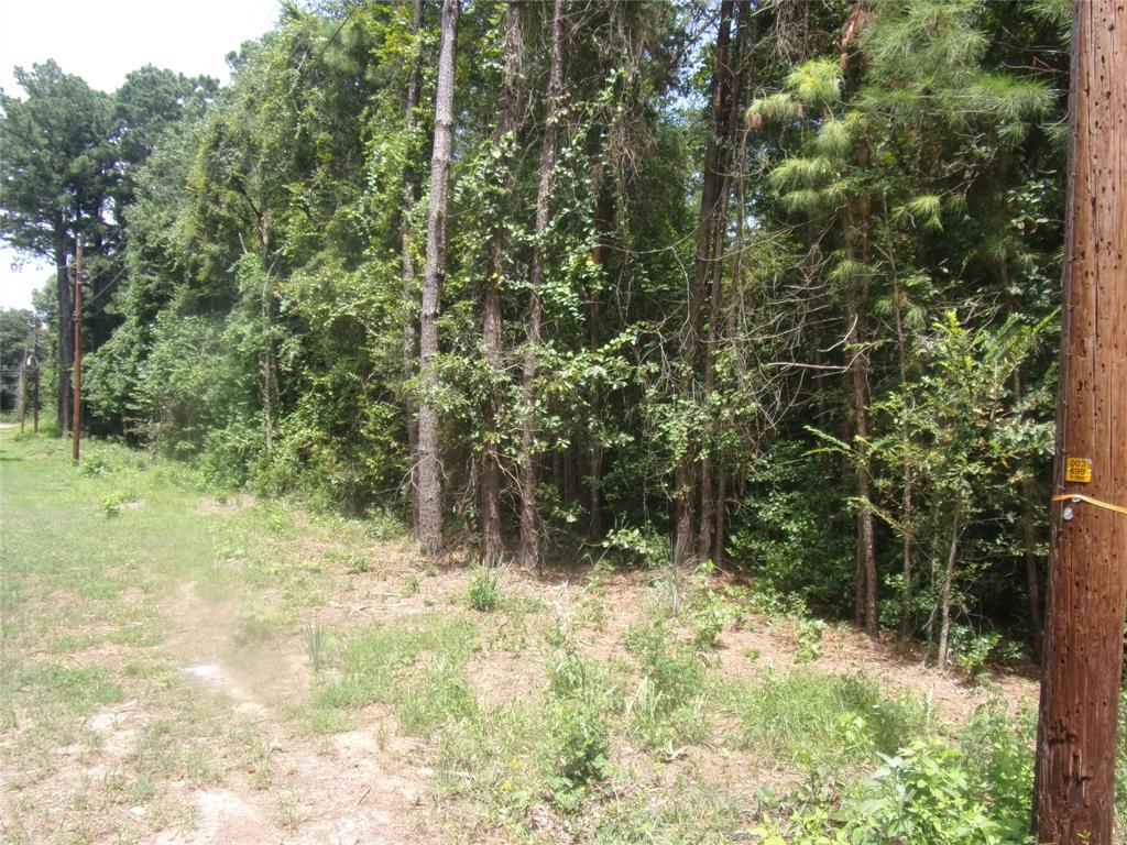 232 Sunny Ridge