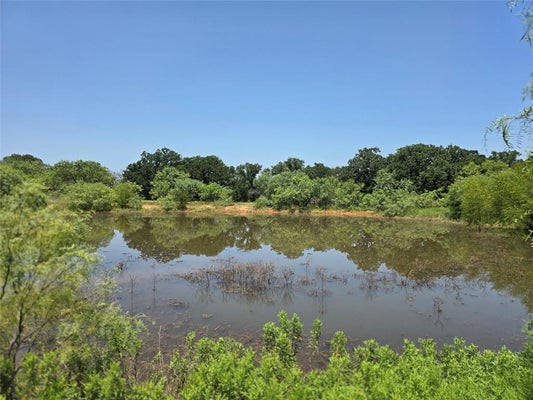 450 COUNTY ROAD 250, GUSTINE, TX 76455 - Image 704f7b9bedd839a26558e2c468f3e844/1374697238