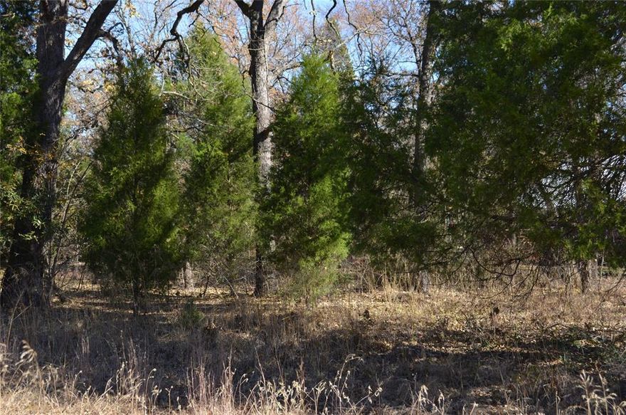 VERY NICE WOODED LOT IN GREAT LOCATION IN NICE WATERFRONT SUBDIVISION. LOT IS IN PRIVATE LOCATION, AND WILL HAVE NO NEIGHBORS ON ONE SIDE, LARGE LOT, GREAT BUILDING SITE, UTILITIES AT ROAD. HAS OVER 250 FEET OF ROAD FRONTAGE. LOCATION RESTRICTED TO SITE BUILT HOMES ONLY. WATERFRONT AREA WITH BOAT LAUNCH.