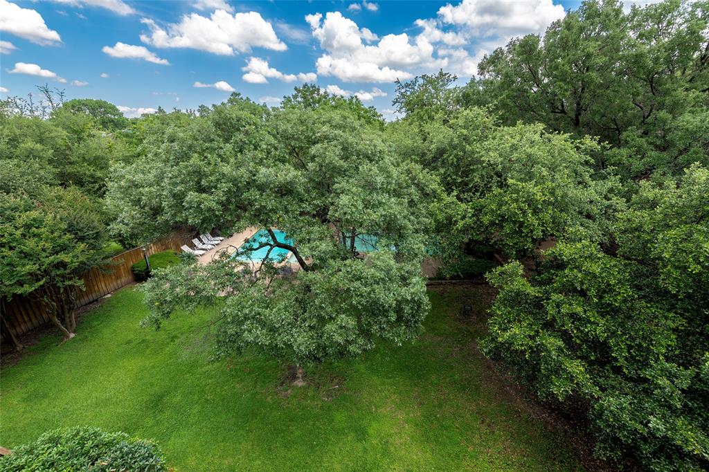 The Woods on Park Lane - Residential