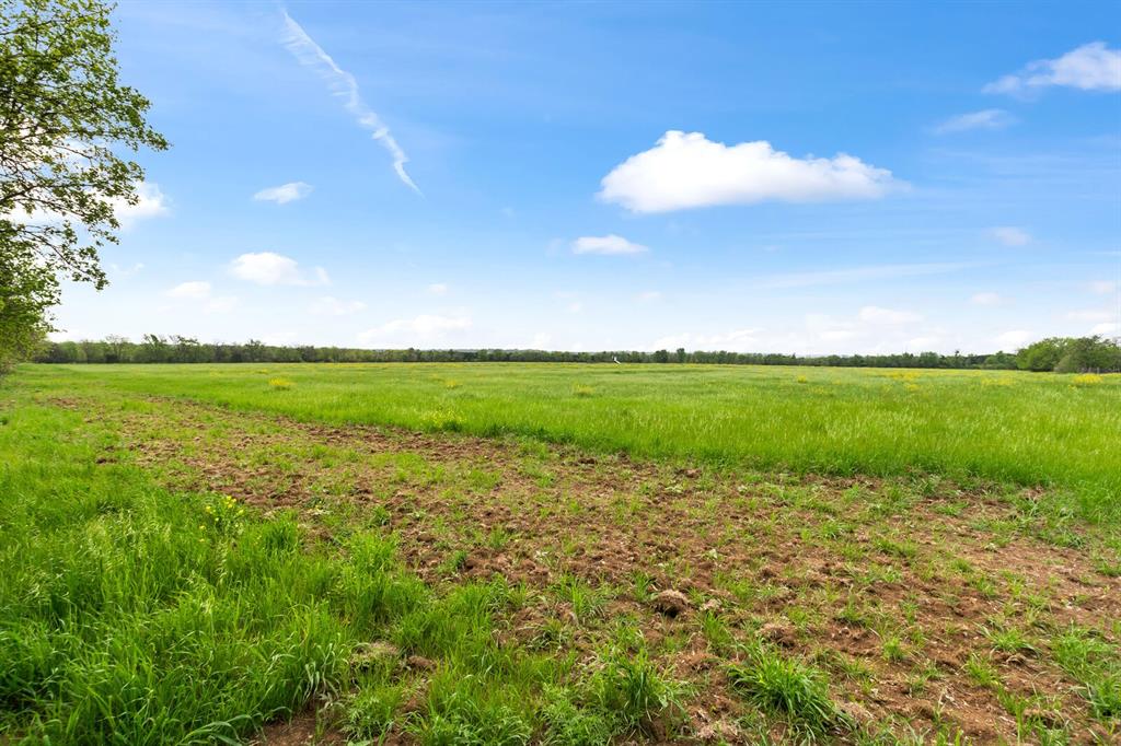 S Fitzhenry - Commercial Sale