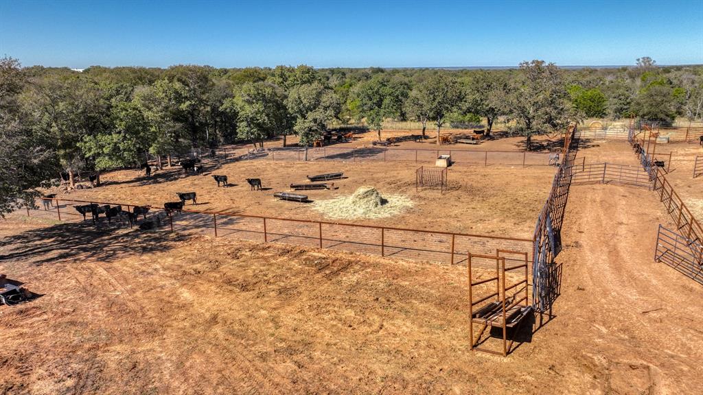 Erika Len Hobson - Farm