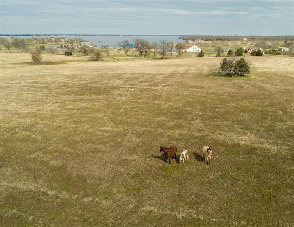 Richland Chambers - Farm