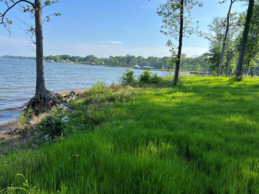 20621 Wycliff