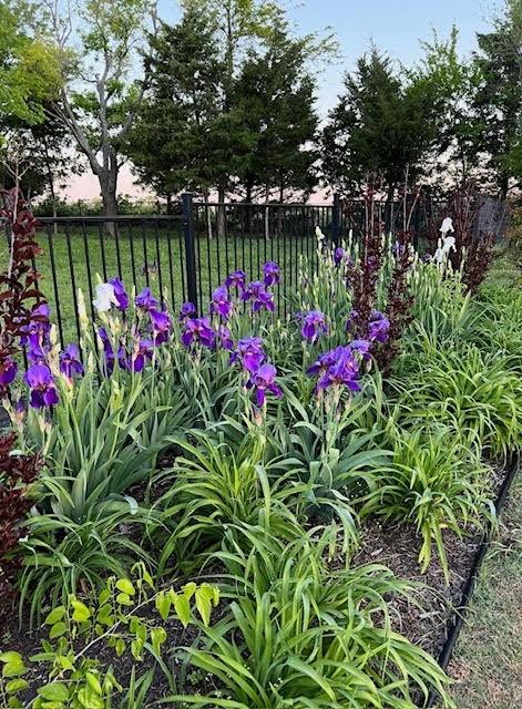 Blackthorn Meadow - Residential