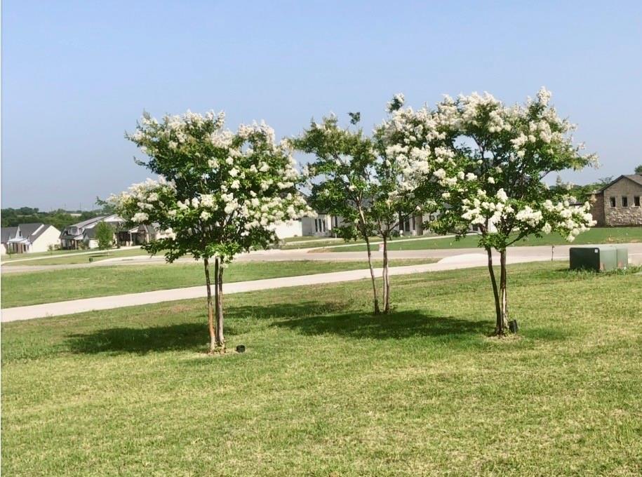 Blackthorn Meadow - Residential