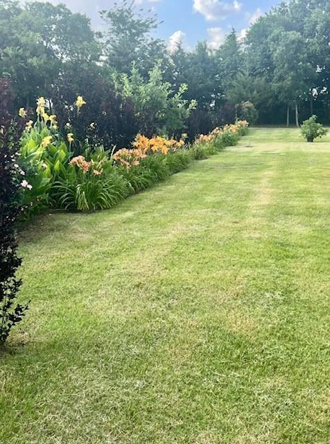 Blackthorn Meadow - Residential