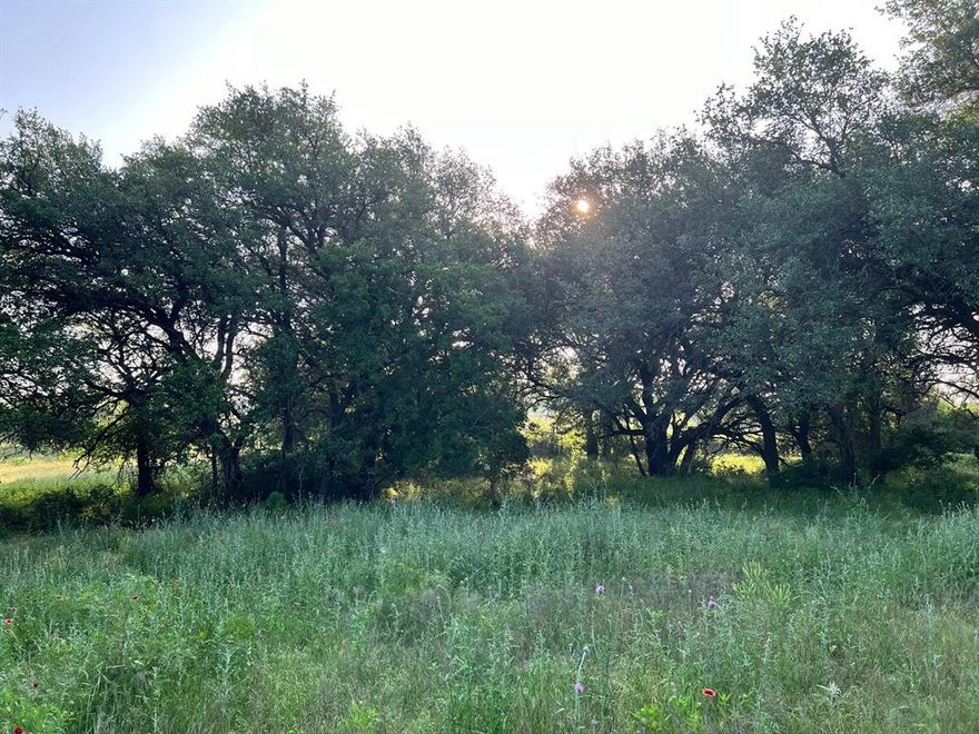 30.57 Acres just outside of Comanche! Highway 16 frontage. No HOA & No restrictions! Co-op electric, trees, wet weather creek & partially fenced. Additional 40.73 Acres available with access to Hwy 590. This would make a great spot to build a home or a weekend place! Will need water well & septic. Survey available! Owner financing available.