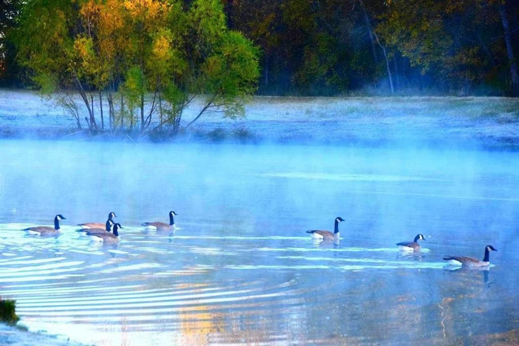 Trinity Falls Planning Unit 3 Ph 4b South - Residential Lease