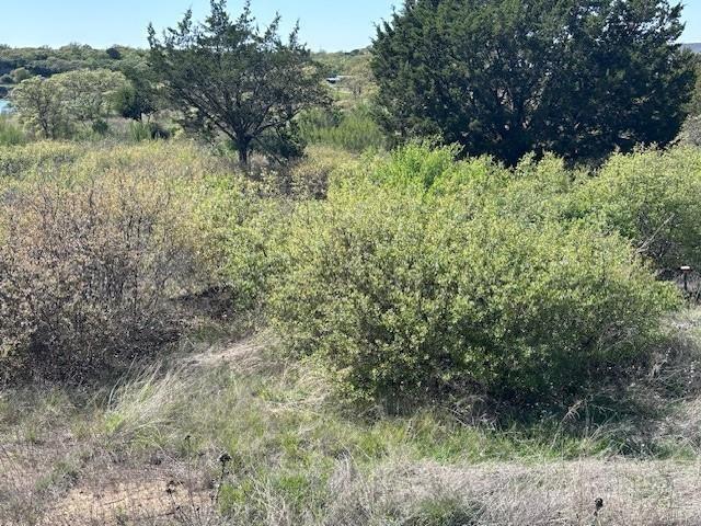 Hidden Shores - Land