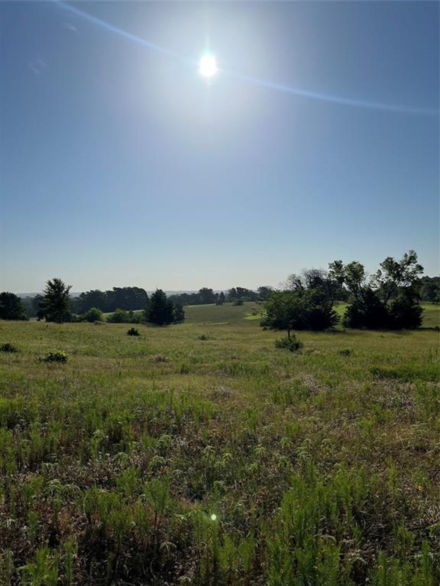 This absolutely stunning property is a part of a larger track and has future road frontage along future Avenue C as well as E. CentennialBlvd. Property will have easy access to Interstate 20 as well as Hwy 69 N at Centennial Blvd. Large enough for a huge potential commercial venture! re: Restaurant, hotel, college, retail etc. Call today for more information! Price is negotiable based on size acreage and location purchased with in the acreage.