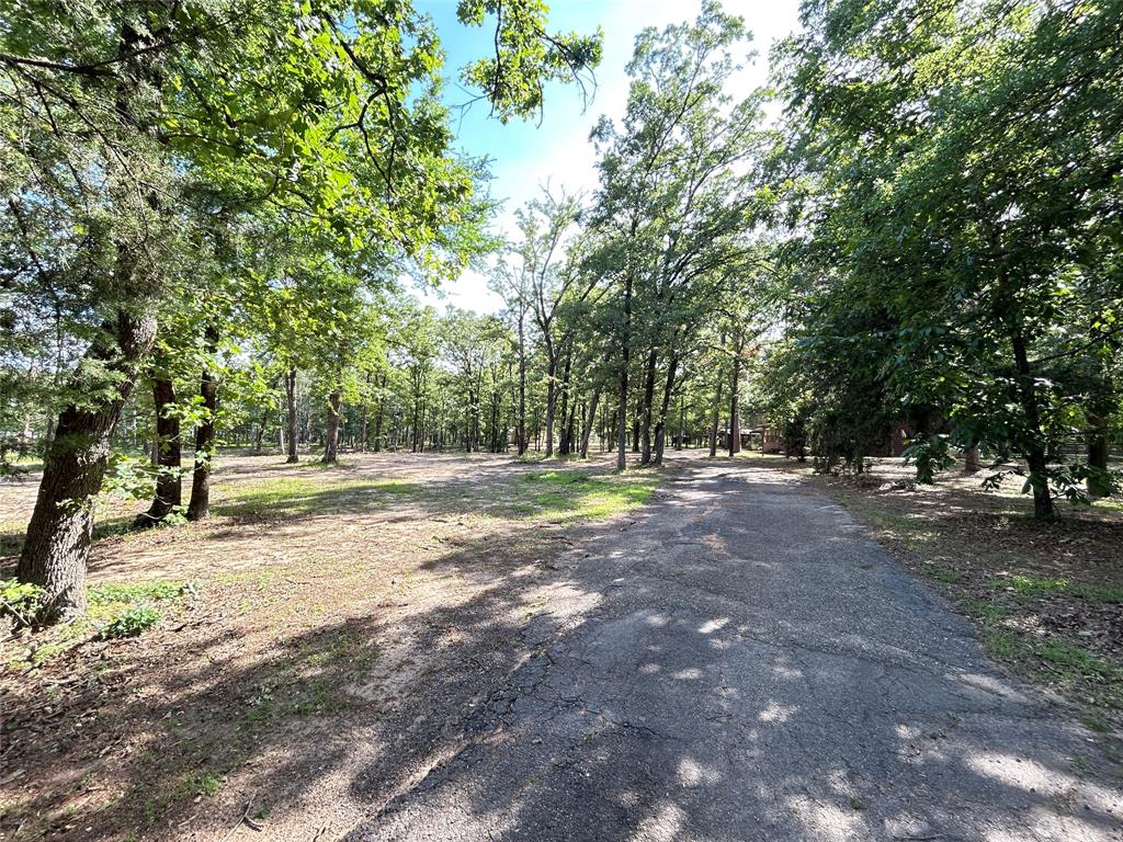 3236 Farm Road 3019