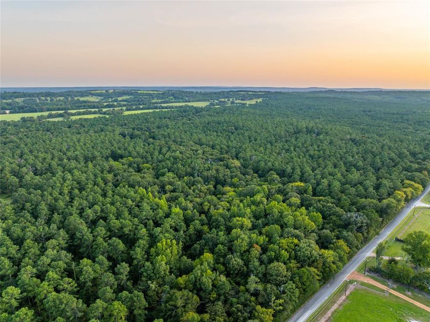 Frankston Farm – Tract C

This tract is estimated to be approximately 218 acres with frontage along CR 4222.  It is densely wooded with mature plantation Pine with the occasional large homestead Oak found scattered throughout.  The tract has rolling terrain with elevation ranging from an approximate low of 420’ ASL to an approximate high of 460’ ASL.  The combination of these features as well as the close proximity to Lake Palestine and the City of Tyler make this a unique tract for homesite development.  A buy and hold plan could implement timber management with future harvest income and still hold value as a very desirable home-site tract with some commercial potential.  This property is part of a larger tract with multiple other parcels being offered.  Contact us today for your private showing of this unique offering.  

Boundaries are approximate and to be surveyed upon contract of the desired tract
Excellent opportunity for investment with home-site potential
Long frontage along CR 4222, approx. 4,700 feet
Close to Frankston and Tyler
Lake Palestine and nearby marina only minutes away