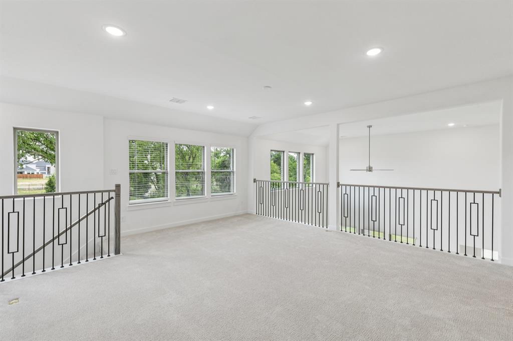 Painted Tree - Residential