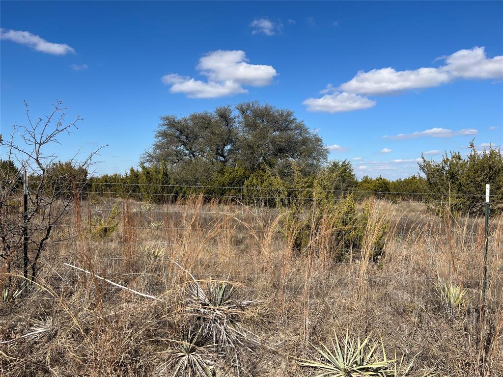 Reed Louisa Survey - Land