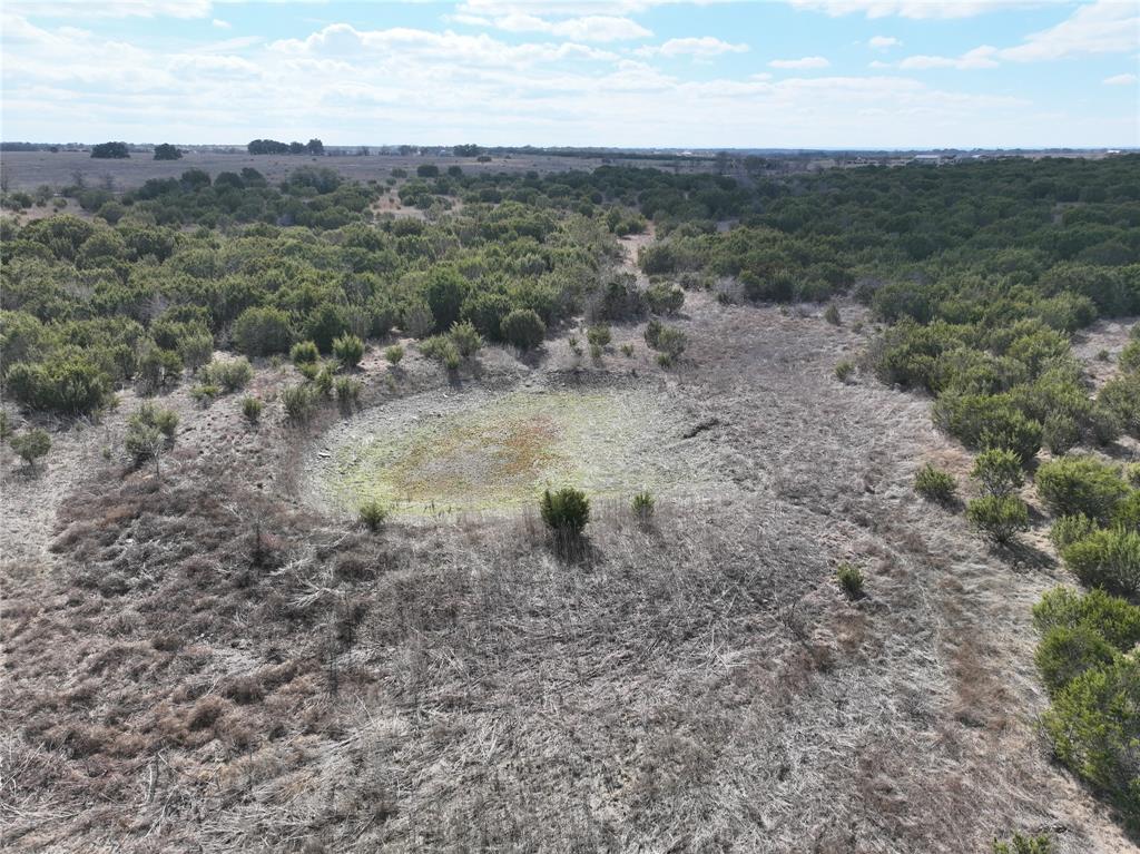 Reed Louisa Survey - Land