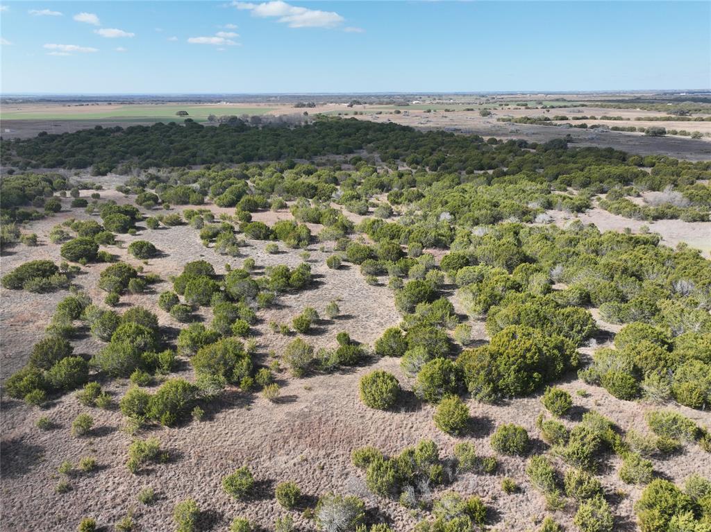 Reed Louisa Survey - Land