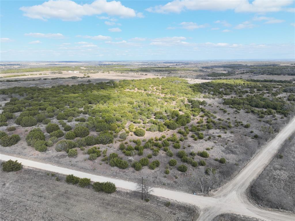 Reed Louisa Survey - Land