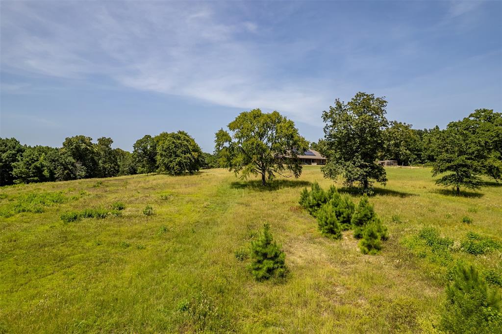 T Quevado - Residential