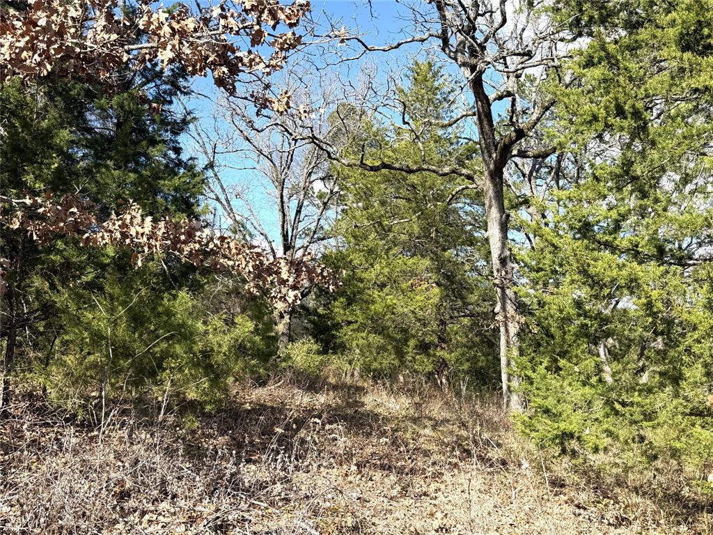 15899 Crazyhorse Drive