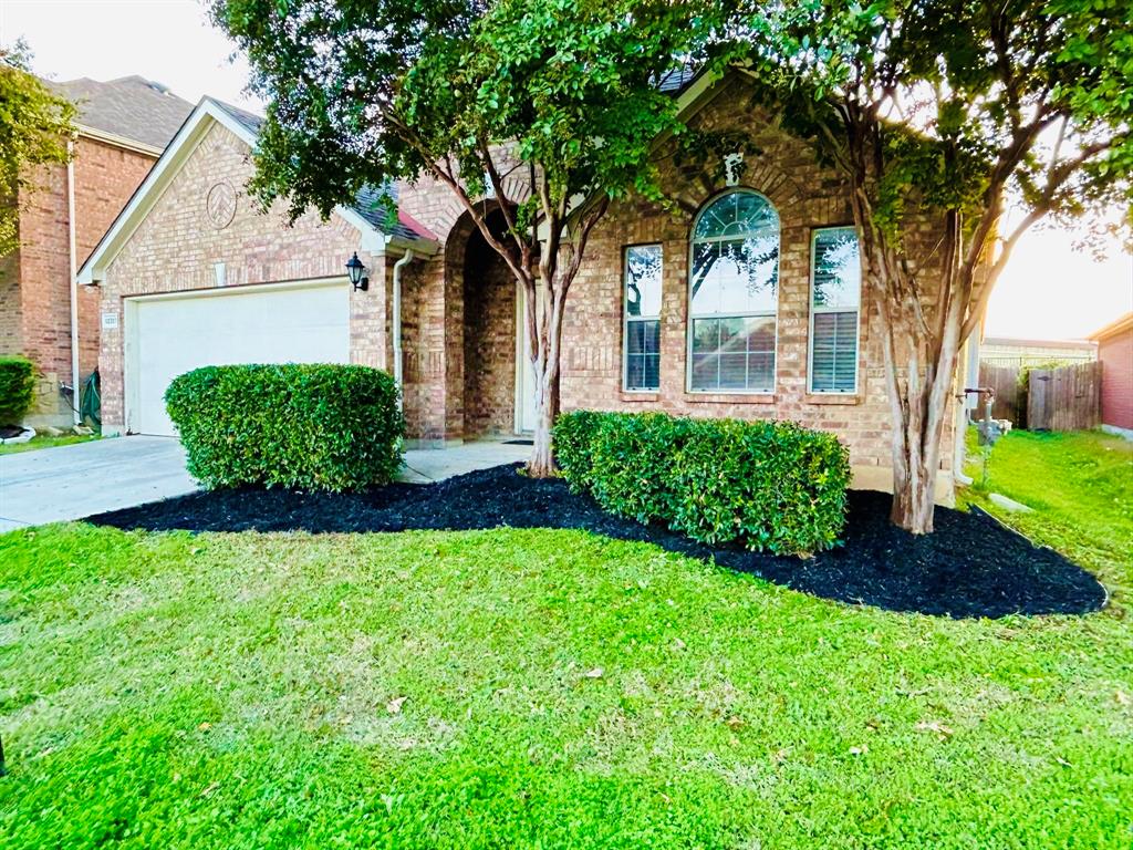 12317 Durango Root Drive