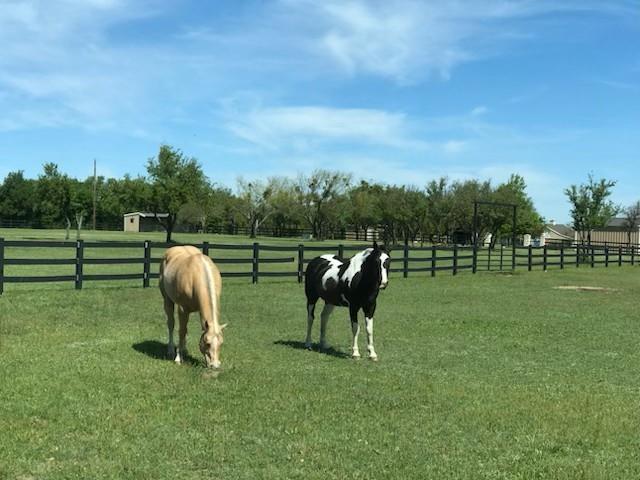 Cee-Bar Ranch 16 - Farm