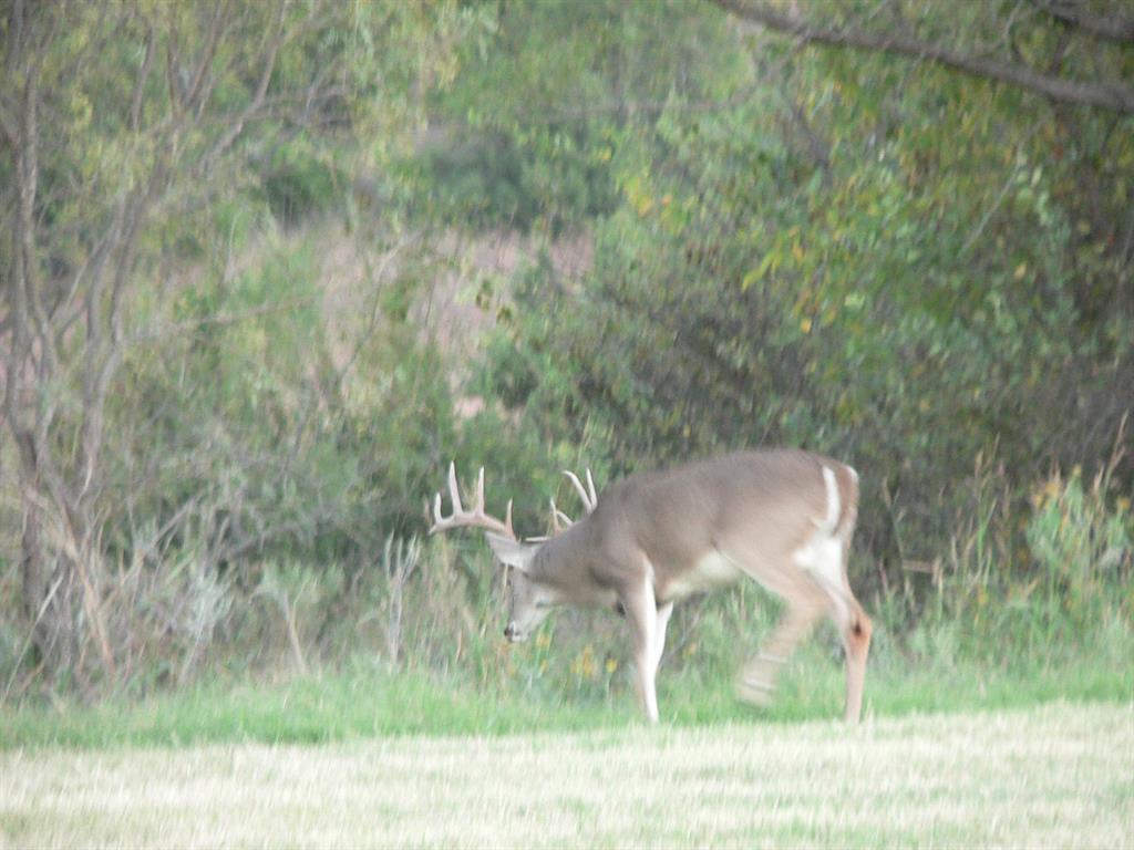 Cee-Bar Ranch 16 - Farm