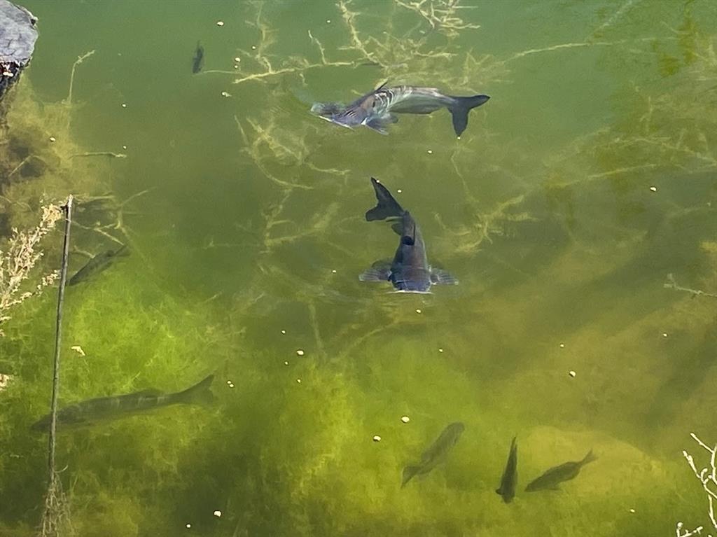 Cee-Bar Ranch 16 - Farm