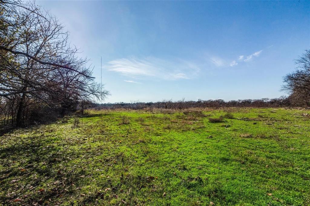 Ben Bland Survey - Land