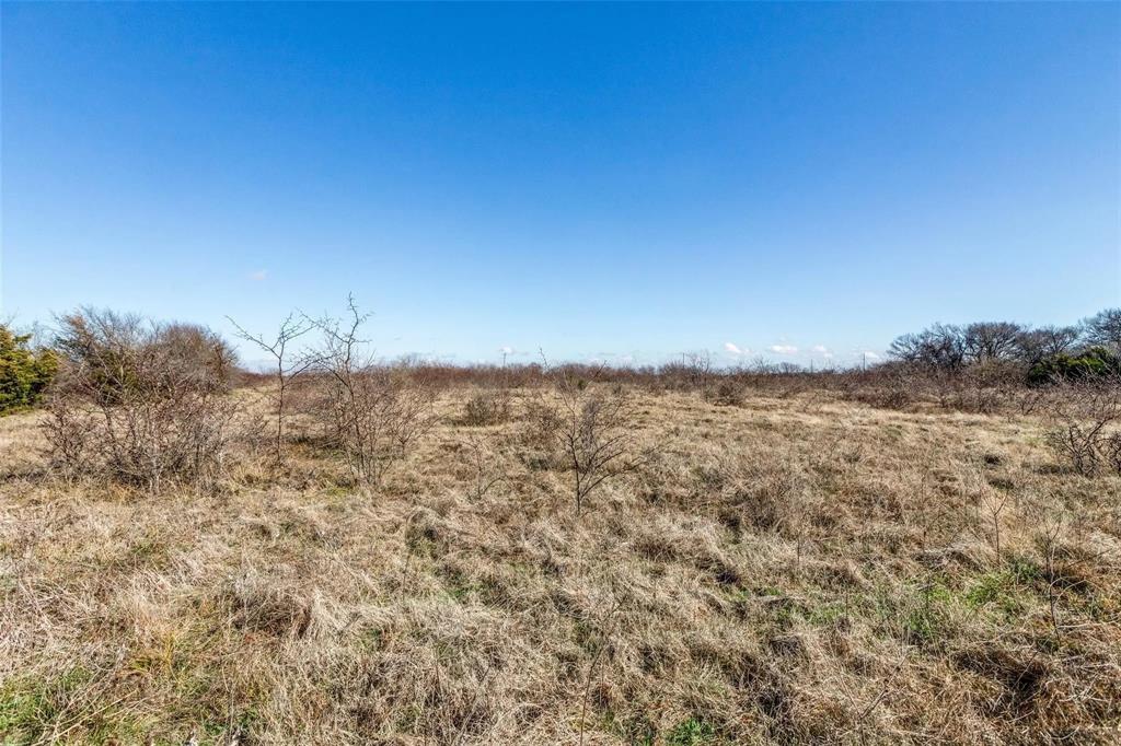 Ben Bland Survey - Land