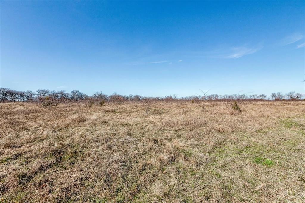 Ben Bland Survey - Land