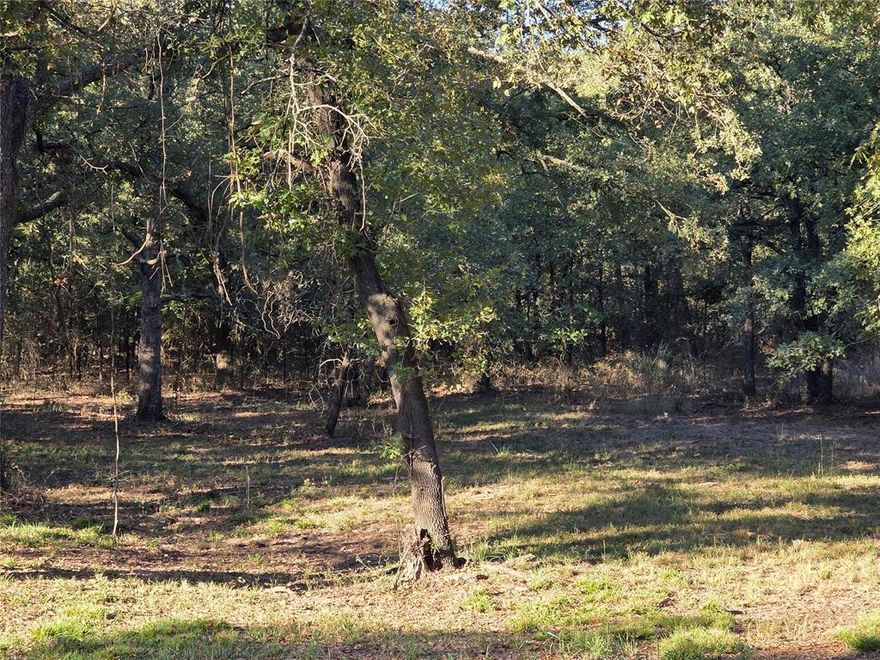 Lots are surrounded by the tranquility of nature as you will often see deer all around the property. Nocona Hills offers a 24-hour guarded gated community with access to two private lakes (one listed as top 5 Bass fishing in Texas)a community boat ramp and dock, as well as an 18-hole golf course with driving range, an airstrip, campgrounds with RV sites, and more. Utilities include co-op water and electric already at street. Fiber optic high speed internet is also available. Nearby surroundings include historic downtown Nocona, a winery, brewery and just a short drive to Saint Jo, Muenster and popular Casinos. Come see this gem. Owner has multiple lots available to choose from, please contact listing agent for details. The Club house is under remodel along with the pool such an exciting new Update for the community.