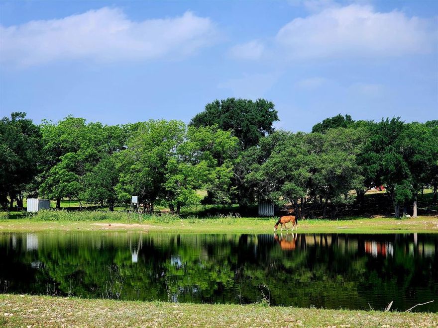 Discover this breathtaking 367-acre exotic game ranch ideally located just 6 miles west of Hwy 183 between Burnet and Lampasas, approximately 1 hour from Austin and 35 minutes from Killeen. Fully enclosed with a high perimeter fence, this exceptional property offers privacy, beauty, and endless recreational opportunities. The land features approximately 140 feet of elevation change, creating stunning long-range views, multiple elevations, and a scenic mesa. The ranch is richly wooded with oak and pecan trees, complemented by flowing wet-weather creeks and two natural spring areas scattered throughout the property. Rolling terrain and elevated vantage points provide unforgettable sunrises and sunsets across the landscape. Well-equipped for ranching and equestrian use, improvements include a covered arena, horse barn with two stalls, an exotic game barn with four stalls, a large tractor barn, a storage barn, and miles of beautiful equestrian trails to enjoy. Wildlife enthusiasts will appreciate that exotic animals are negotiable in the sale, including scimitar antelope, red deer, sika deer, whitetail deer, and aoudad. At the heart of the ranch sits a stunning 4,200± sq ft rock home, featuring a heated pool with waterfall, ideal for entertaining or relaxing while enjoying the panoramic Hill Country views. A container home is also on the property and is negotiable in the sale, offering additional guest accommodations. This rare Central Texas ranch combines natural beauty, luxury improvements, recreational versatility, and prime location—a truly exceptional opportunity.