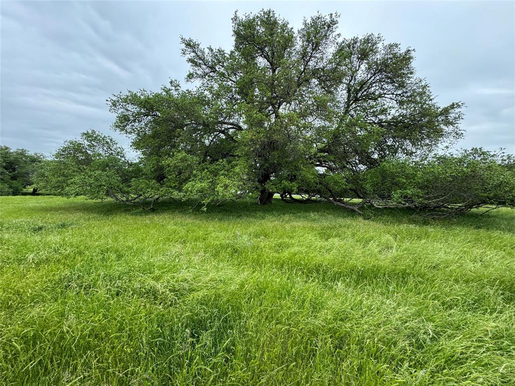 Manchaca Jose Antonia W - Farm