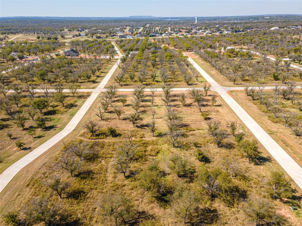 Pecan Plantation - Land
