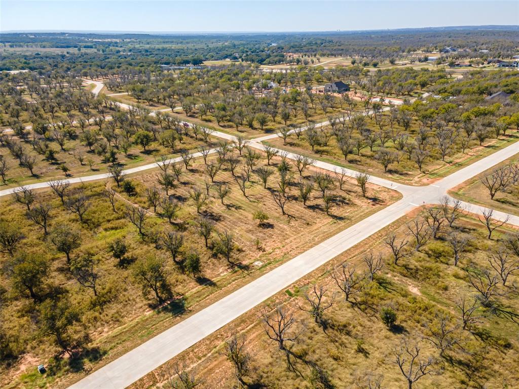 Pecan Plantation - Land