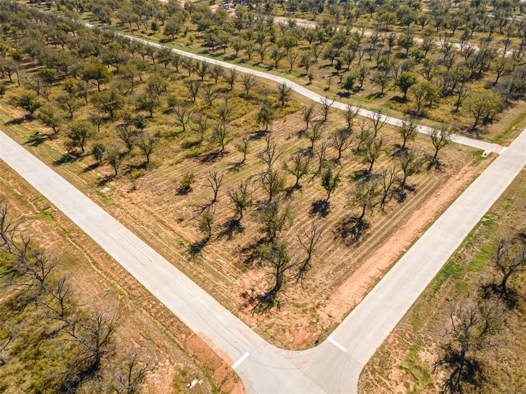 Pecan Plantation - Land