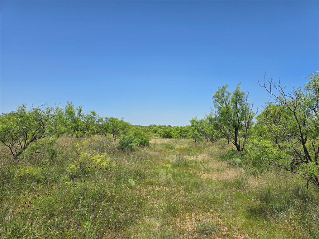 TBD CR 258