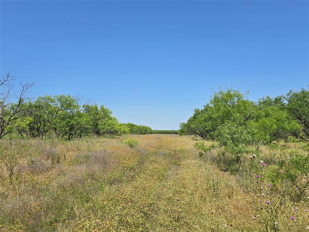 TBD CR 258