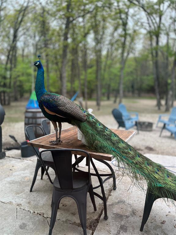 Harmon Add - Residential