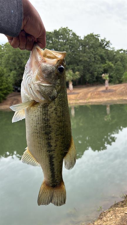 Harmon Add - Residential