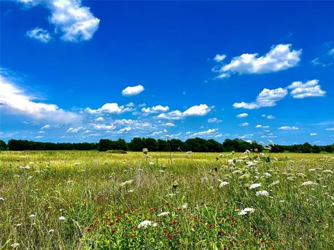 Lot 7 CR-590 Nevada TX 75173