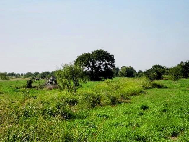 Baxter M & Hrs - Land